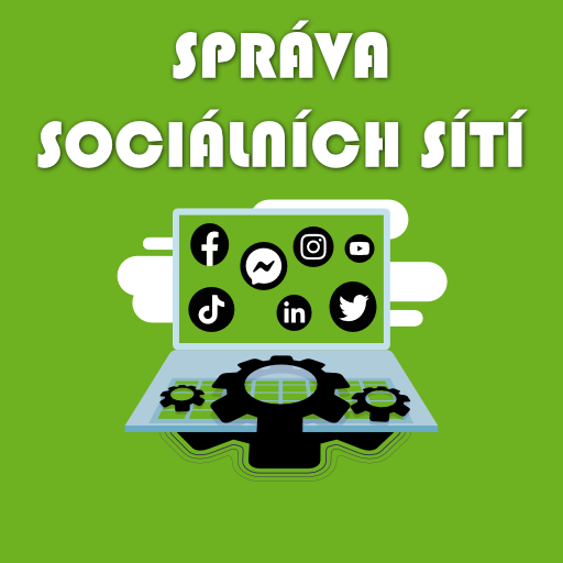 Sociální sítě